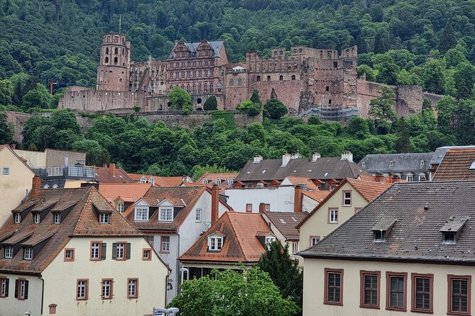 Private Half-Day Heidelberg Tour From Frankfurt - Tips for Travelers
