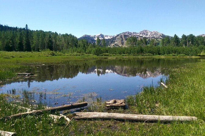 Private Half-Day Scenic Drive Through Salt Lakes Best Canyons - Recommended Activities