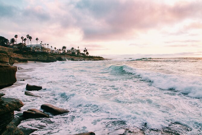 Private Half-Day Tour of San Diego With a Driver-Guide - Customer Experience