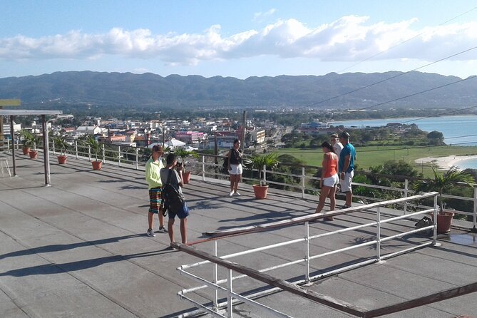 Private Highlights Tour and Shopping With Pickup From Montego Bay - Pricing and Cancellation Policy