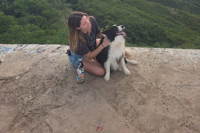 Private Hiking and Beaches Tour in Kailua Town - Customer Feedback