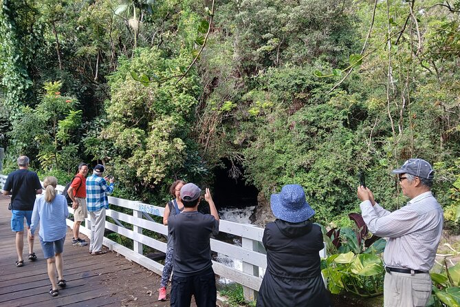 Private Hilo Shore Excursion Review - Inclusion Details