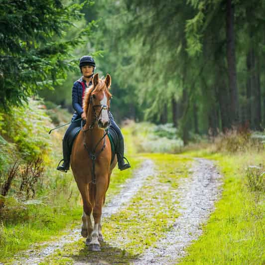 Private Horse Riding, Lake Kournas & Georgioupoli - Frequently Asked Questions