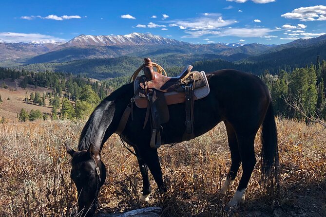 Private Horseback Riding in Wyoming Review - Overall Impression and Recommendation