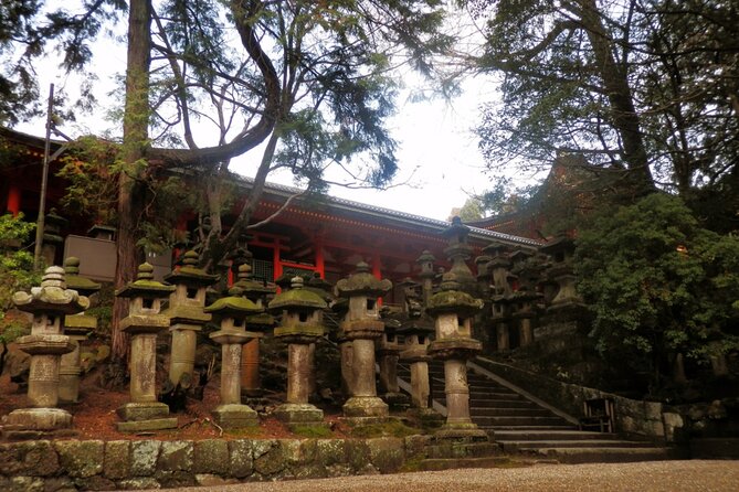 Private Journey in Nara's Historical Wonder - Savoring the Local Culinary Delights of Nara