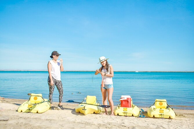 Private Kayaking Adventure Around the Mangroves and La Paz Bay - Traveler Reviews and Feedback
