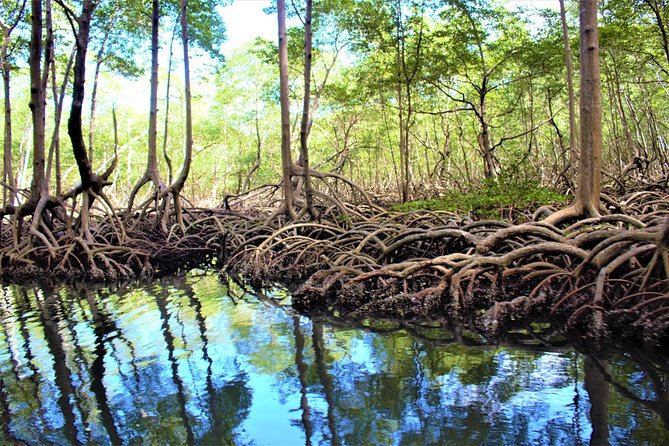 Private Kayaking Los Haitises National Park From Sabana De La Mar - Booking Process and Pricing