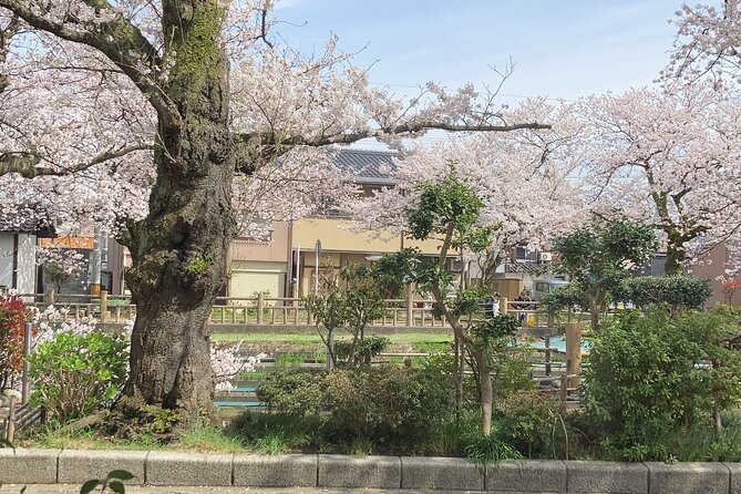 Private Kimono Stroll in Toyama City Possibly With a Shiba Inu - Accessibility and Amenities