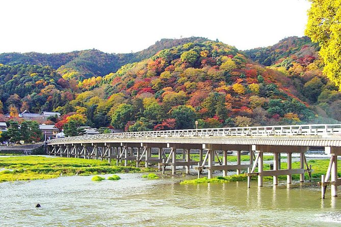 Private Kyoto Arashiyama Custom Half-Day Tour by Chartered Vehicle - Tour Feedback and Traveler Experiences