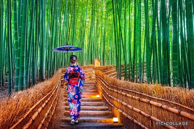Private Kyoto-Nara Tour From Osaka With Hotel Pickup and Drop off - Todai-ji Temple