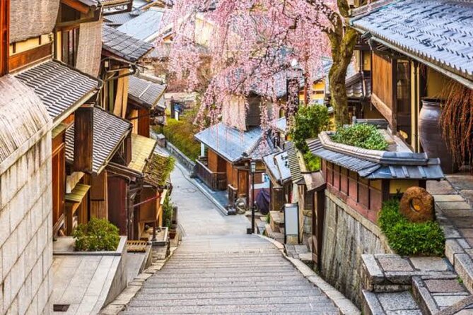 Private Kyoto Tour With Hotel Pickup and Drop off From Osaka - Visiting Hokan-ji Temple