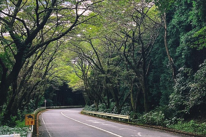 Private Motorcycle Day Tour to Fuji and Hakone: Onsen and Nature - Exploring Mount Fuji and Hakone