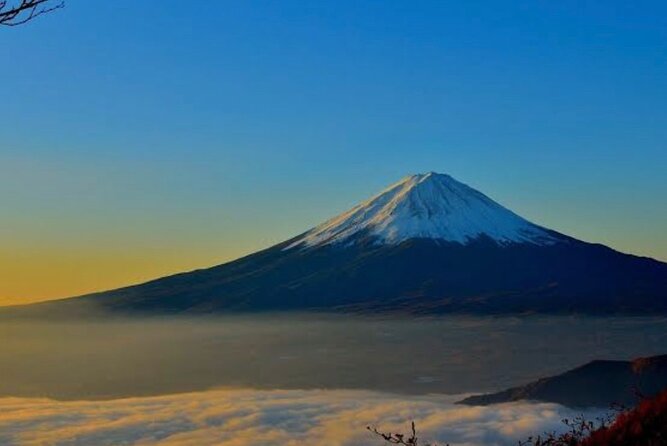 Private Mount Fuji and Hakone City Tour From Tokyo - Reviews and Feedback