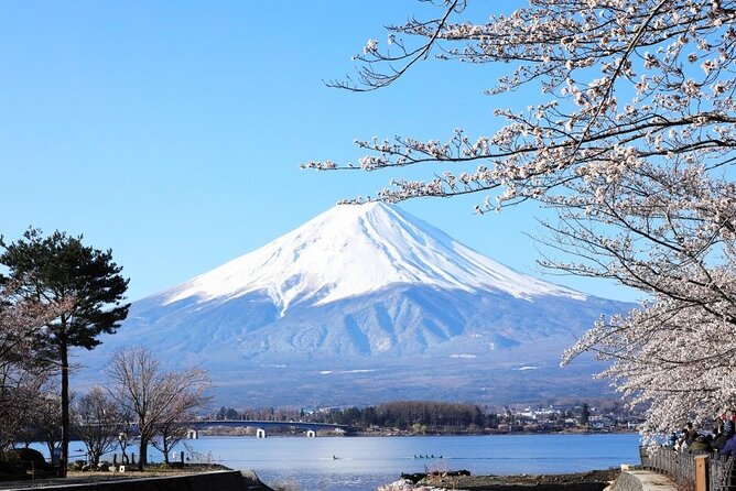 Private Mount Fuji and Hakone One Day Tour - Exploring Mount Fuji