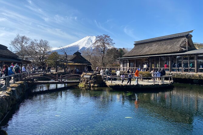 Private Mt.Fuji Driving Tour With a Local English Speaking Guide - Pricing and Policies