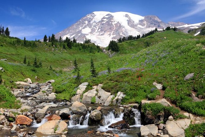 Private Mt Rainier National Park Day Trip From Seattle - Discovering Narada Falls