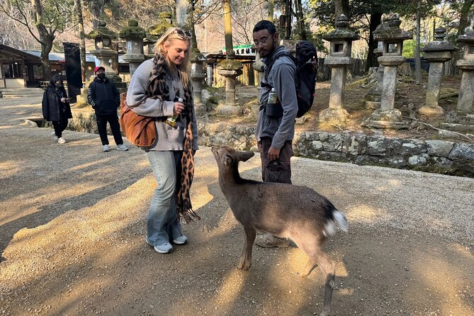 Private Nara Tour and Sake Tasting (Departing From Kyoto/Nara) - Exploring Naras Iconic Sights