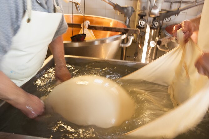 Private Parma Food Tour From Milan - Roundtrip Transportation