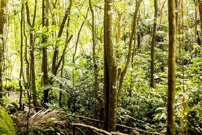 Private Petit Piton View Trail at Fond Doux - Booking and Pricing Information
