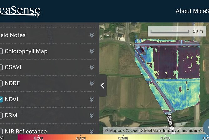 Private Rice Agriculture Experience in Mie With Modern Technology - Exploring the Tsuji Farm