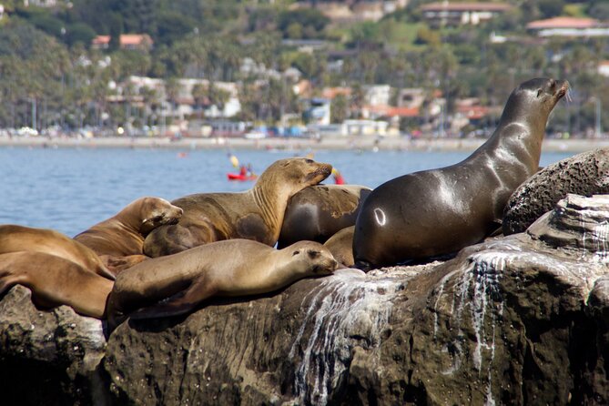 Private San Diego Seaside Tour From Orange County - Child Safety Measures