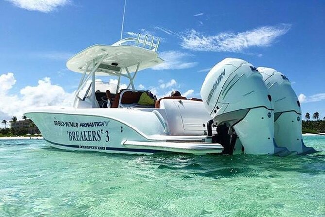 Private Saona Island & Palmilla Beach Tour - Snorkelling and Inshore Fishing - Pricing Information