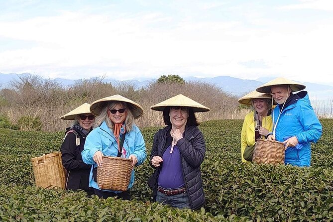 Private Shizuoka Tour From Shizuoka Station /Small Bus - Booking Details