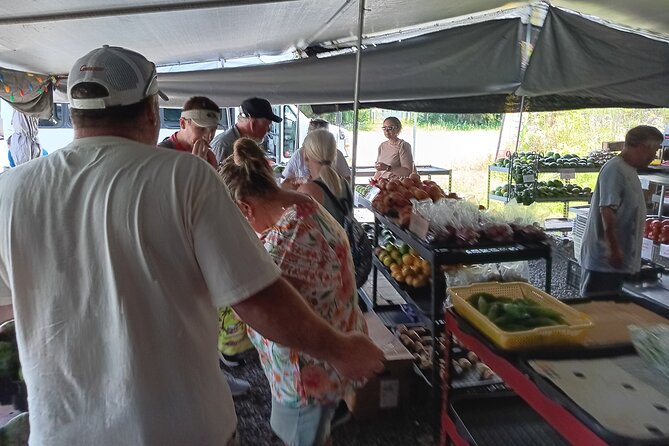 Private Shore Excursion Hilo Review - Itinerary