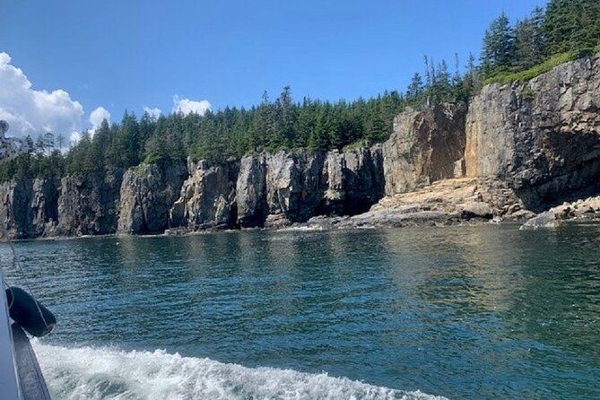 Private Sightseeing Charter in Frenchman Bay Review - Frequently Asked Questions
