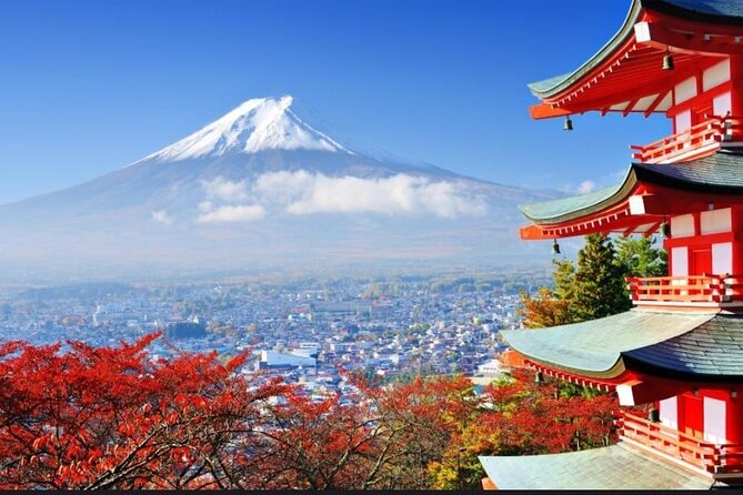 Private Sightseeing Full Day to Mt Fuji and Hakone - Why Choose This Tour?
