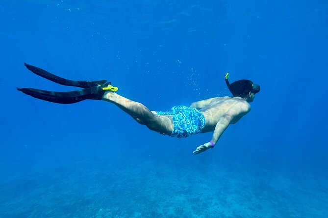 Private Snorkel With Beach Set-Up - Meet Your Guide: Shelby