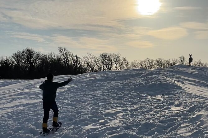 Private Snow Shoe Tour in Shiretoko National Park - Exploring Shiretoko National Park