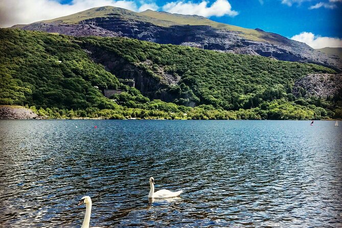 Private Snowdonia Essentials Hollyhead Shore Excursion 16 Seats - Important Policies