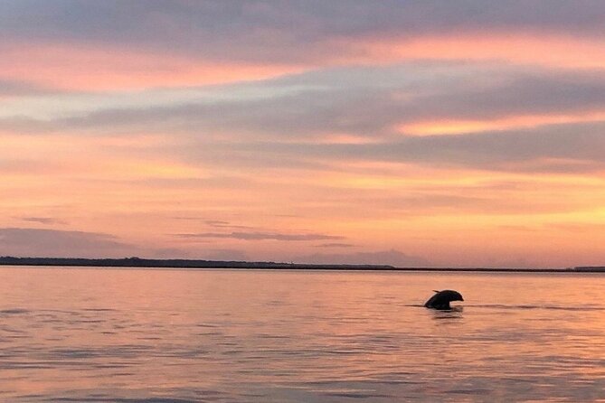 Private Sunset and Fireworks Dolphin Tour (6 People Max) - Pricing and Booking Information