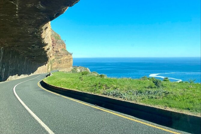 Private: Table Mountain, Cape Point and Penguin Colony - Customer Experiences and Reviews