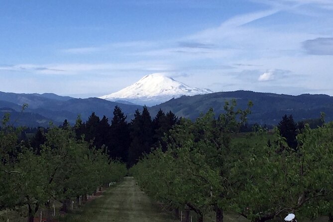 Private Tour at The Hood-Columbia Loop: Timberline, Orchards, and Waterfalls - Admiring the Waterfalls of the Columbia River Gorge