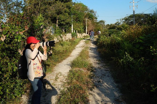 Private Tour: Birdwatching Playa Del Carmen - Tour Conditions