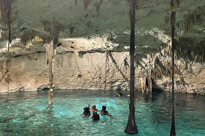 Private Tour Cenote Taak Bi Ha and Nicte Ha From Tulum Hotels - Customer Experience