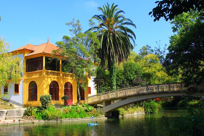 Private Tour From Lisbon to Porto, Obidos and Aveiro - Arriving in Porto