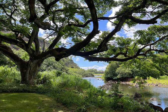 Private Tour Oahu-North Shore Ft. Waimea Falls-Admission Included - Why Choose a Private Tour?