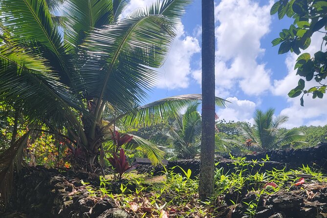 Private Tour on Maui With Luxury Mercedes S-Class - Booking Process