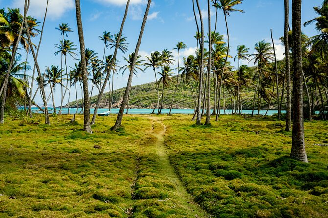 Private Tour St Vincent Half Day - Frequently Asked Questions