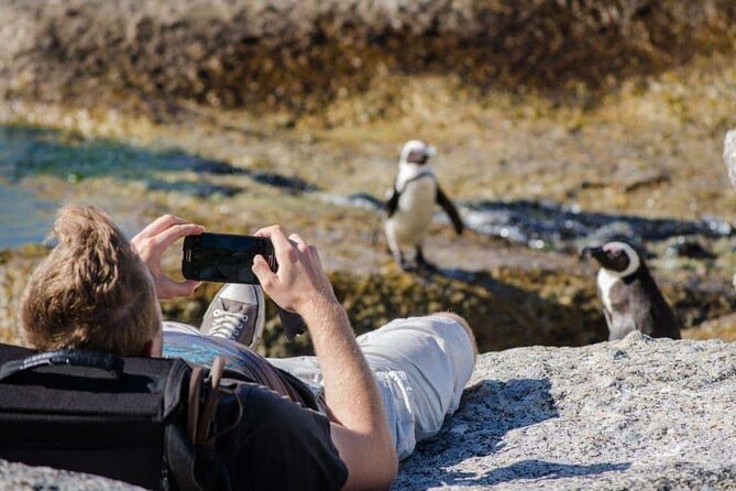 Private Tour to Robben Island and Cape Point in Cape Town - Cancellation Policy