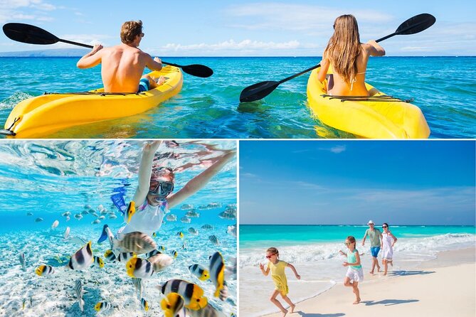 PRIVATE TOUR-Ultimate North Shore Experience - What to Expect During the Tour