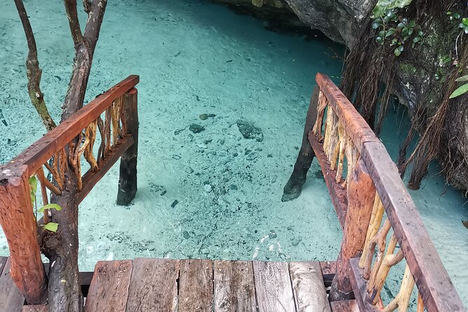 Private Transfer-Cancun Airport to Tulum Downtown - One Way - Traveler Experience and Feedback