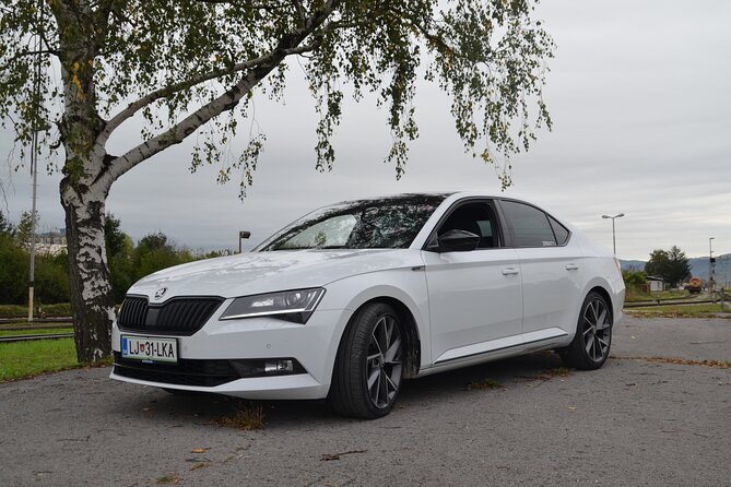 Private Transfer From Brnik Airport to Ljubljana Centre - Highlights of the Service