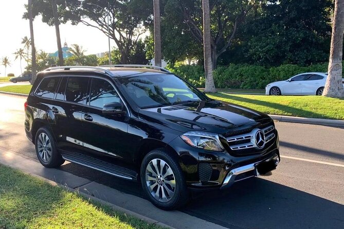 Private Transfer From Las Vegas Mccarran Airport (Las) to Las Vegas - Provider Clarifications