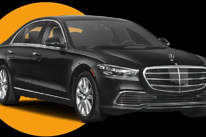 Private Transfer From Port of Miami to Miami and Fort Lauderdale - Accessibility Features
