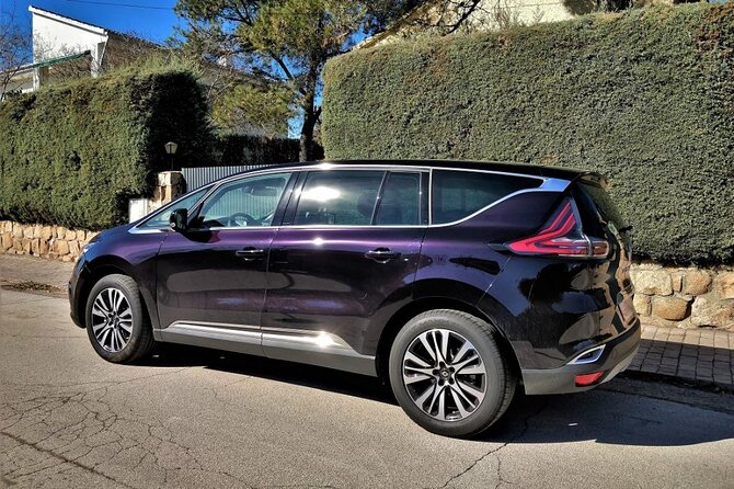 Private Transfer From Pyrénées Airport LDE to Tarbes City by Van - Ask Away