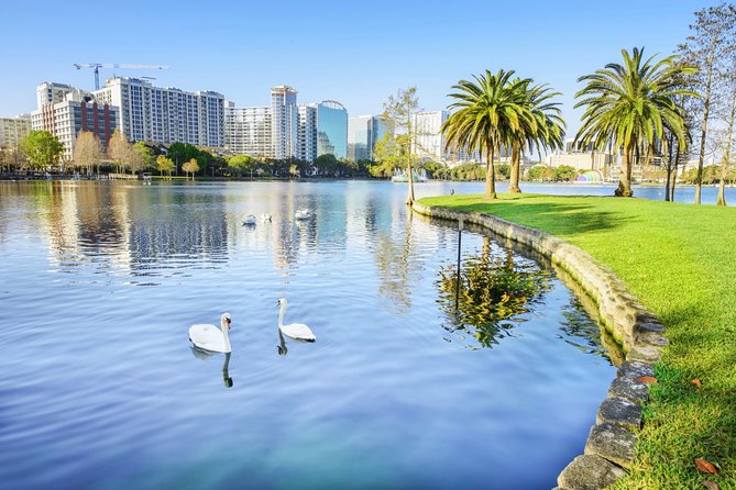 Private Transfer: Orlando Airport MCO to Port Canaveral in Luxury SUV - Things To Known